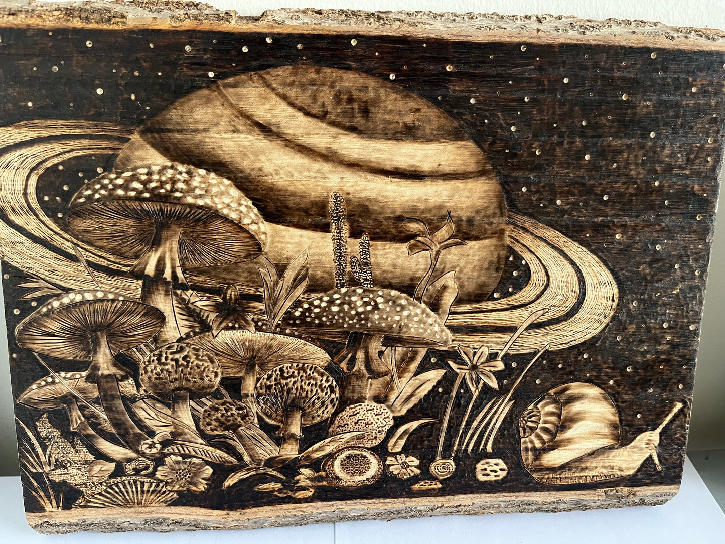 Cosmic Mushroom Forest | Original Pyrography on Live-Edge Reclaimed Wood | Handmade