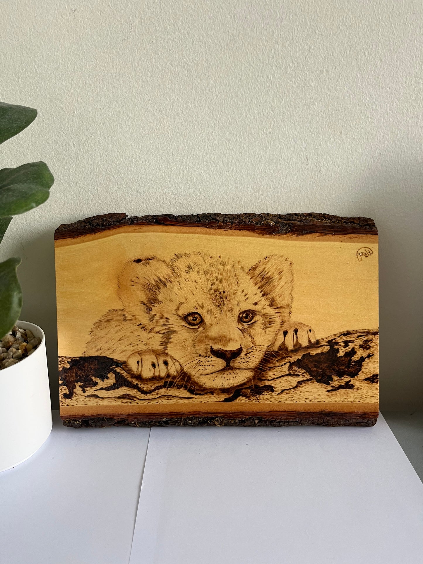 Baby Lion Cub | Original Pyrography on Natural Live-Edge Wood Slab | Handmade