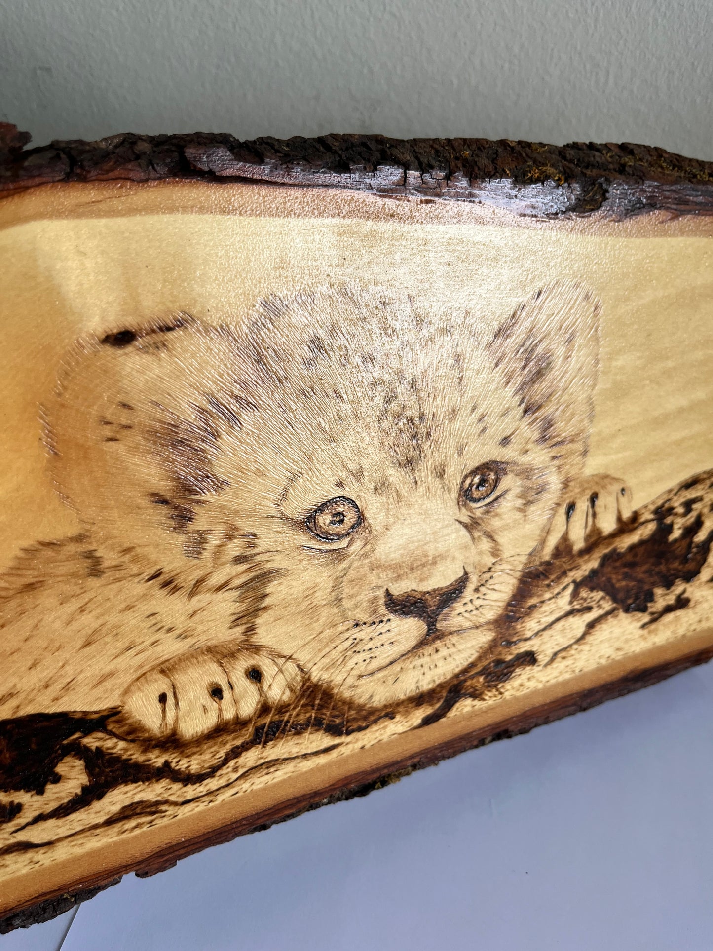 Baby Lion Cub | Original Pyrography on Natural Live-Edge Wood Slab | Handmade