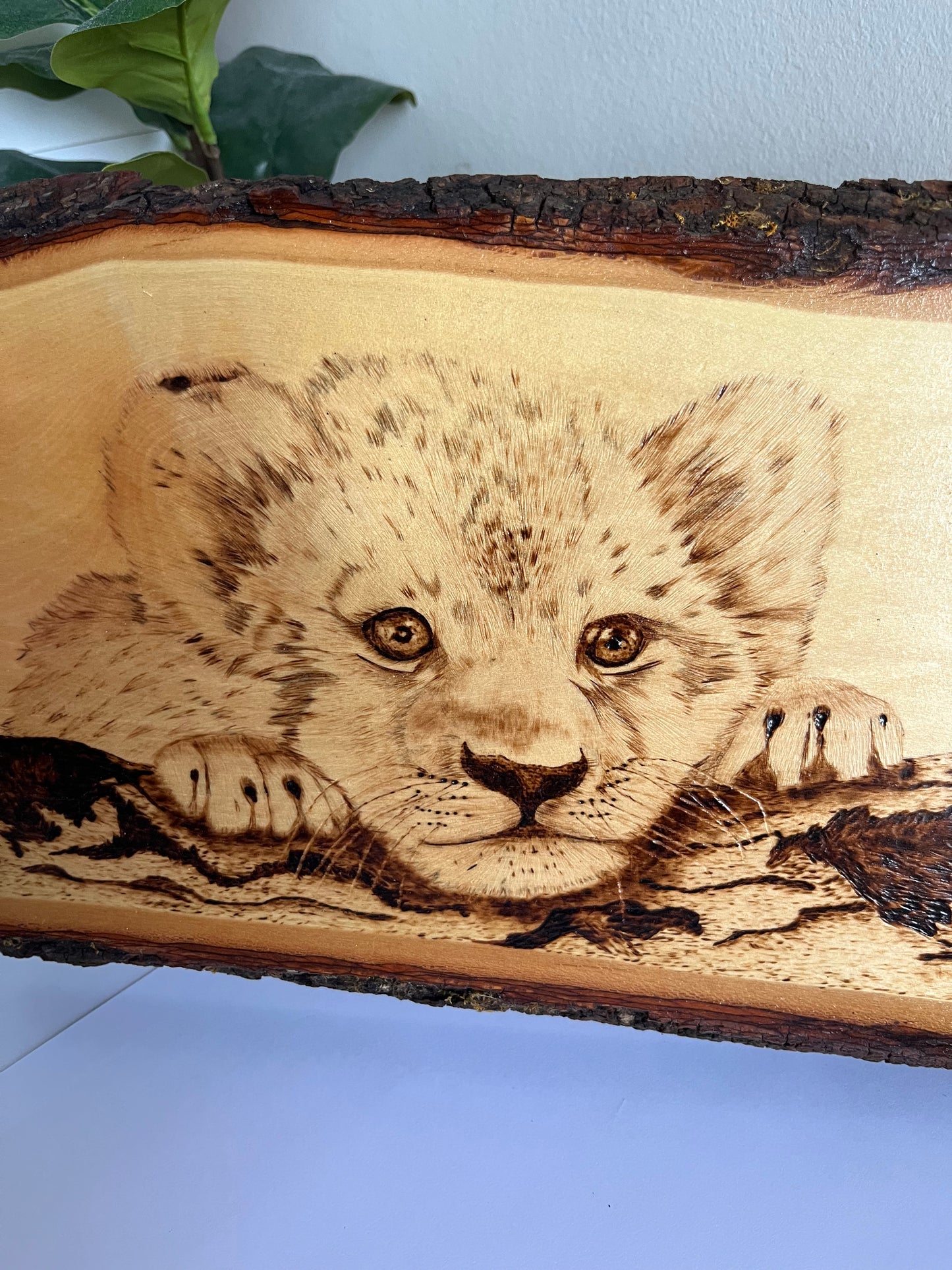 Baby Lion Cub | Original Pyrography on Natural Live-Edge Wood Slab | Handmade