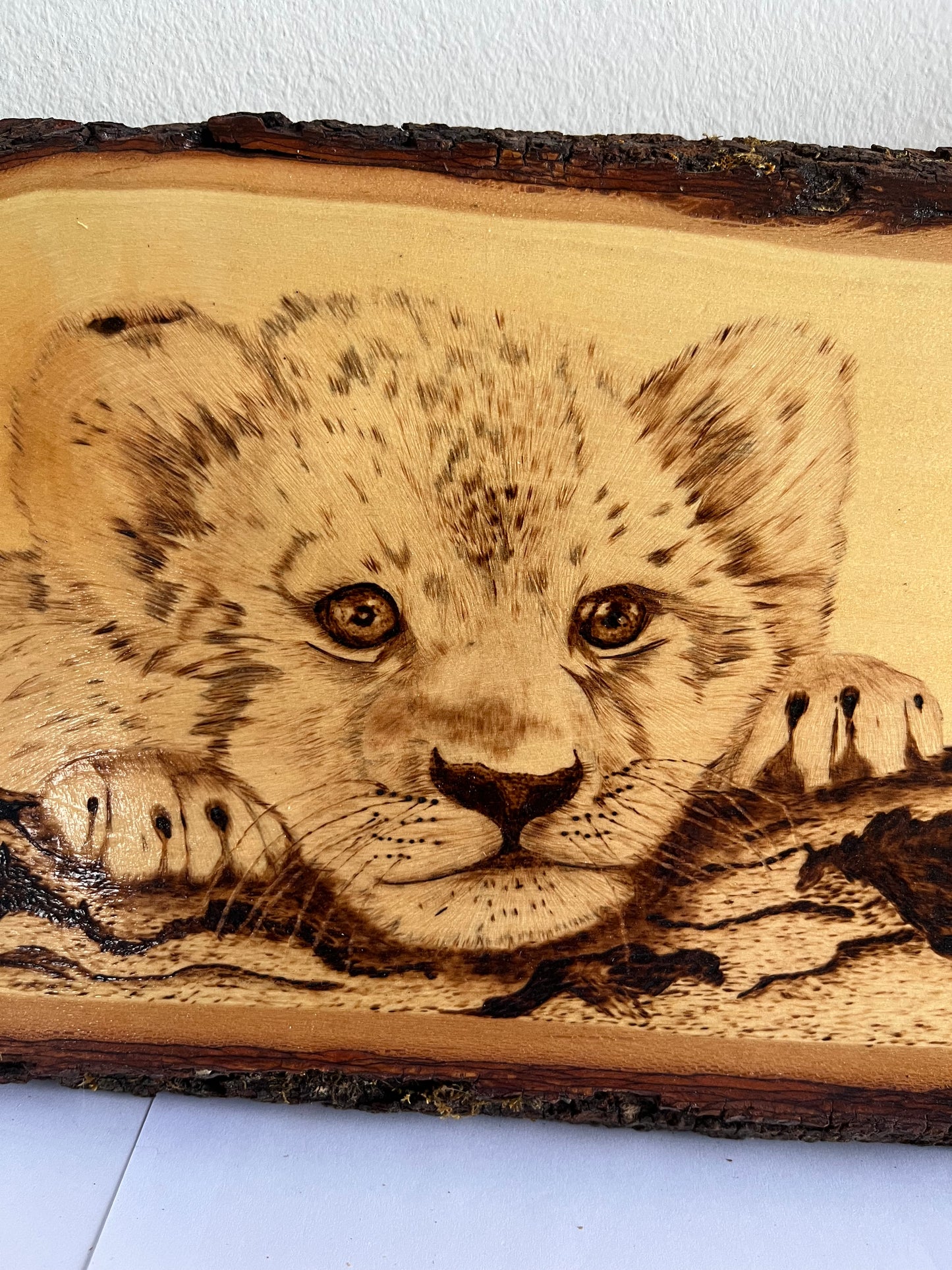 Baby Lion Cub | Original Pyrography on Natural Live-Edge Wood Slab | Handmade
