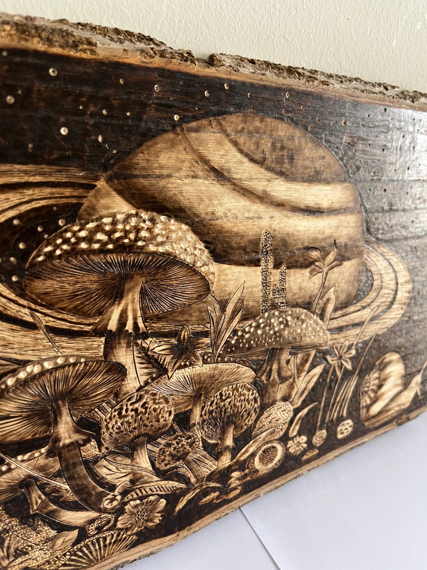 Cosmic Mushroom Forest | Original Pyrography on Live-Edge Reclaimed Wood | Handmade