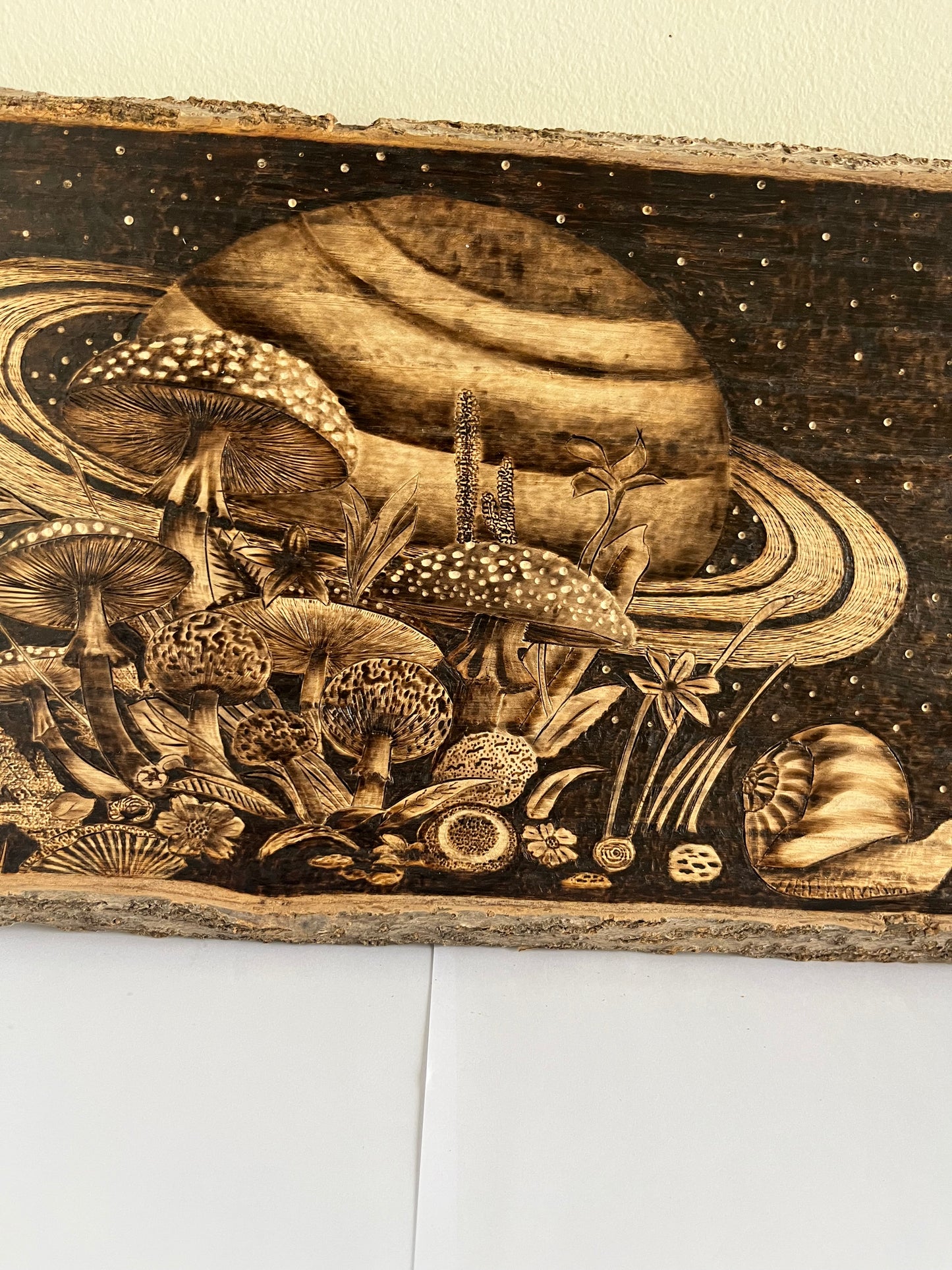 Cosmic Mushroom Forest | Original Pyrography on Live-Edge Reclaimed Wood | Handmade