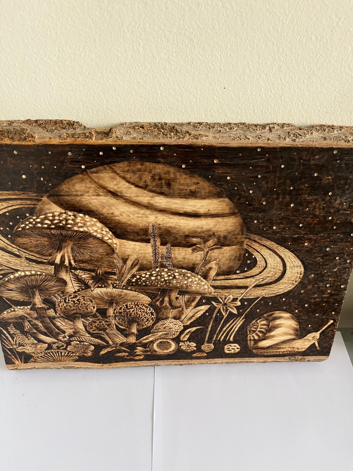 Cosmic Mushroom Forest | Original Pyrography on Live-Edge Reclaimed Wood | Handmade